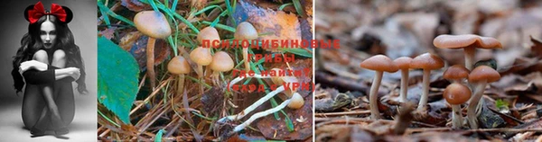 метамфетамин Заволжье
